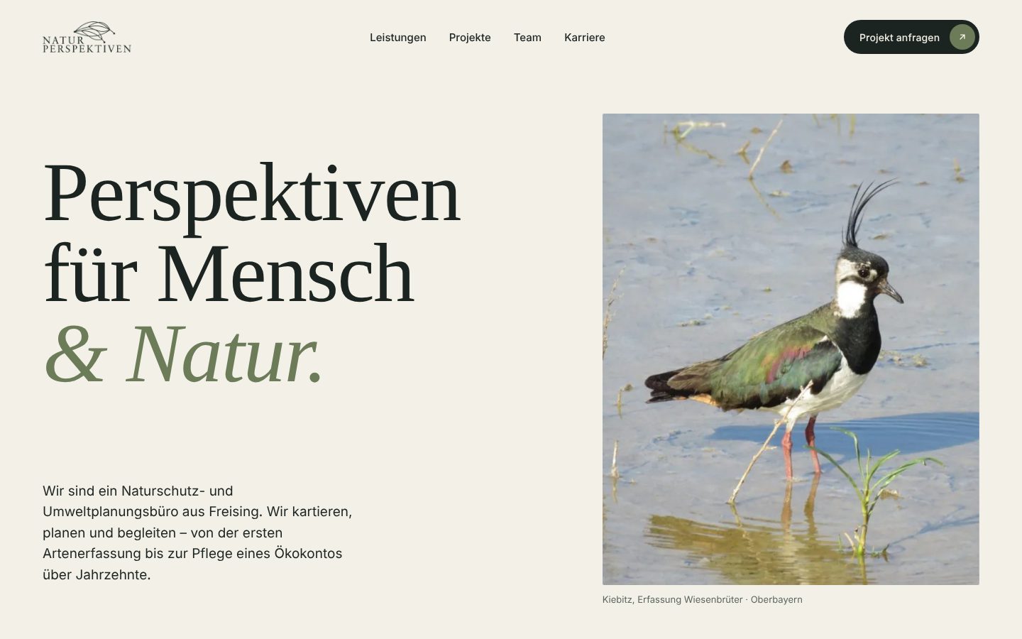 Entwurf der neuen Startseite
