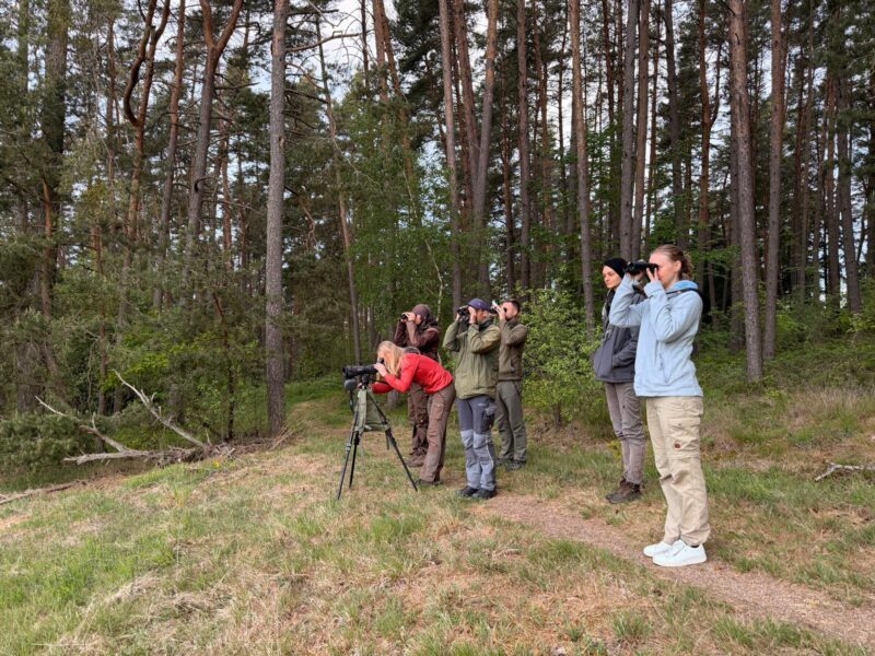 Team bei einer Kartierung im Kiefernwald